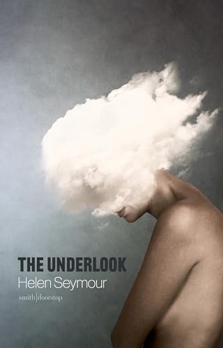 Imagen de archivo de The Underlook a la venta por WorldofBooks