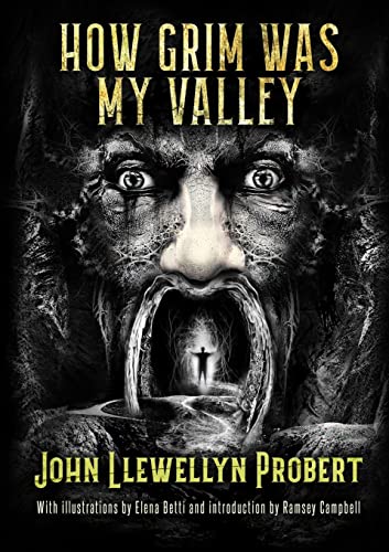 Beispielbild fr How Grim Was My Valley zum Verkauf von GreatBookPrices