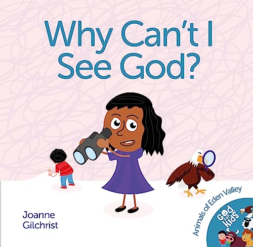 Stock image for Why Can't I See God? for sale by Revaluation Books