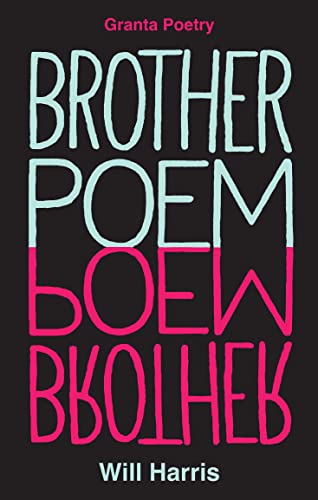 Beispielbild fr Brother Poem zum Verkauf von WorldofBooks