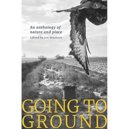 Imagen de archivo de Going to Ground (Paperback) a la venta por Grand Eagle Retail