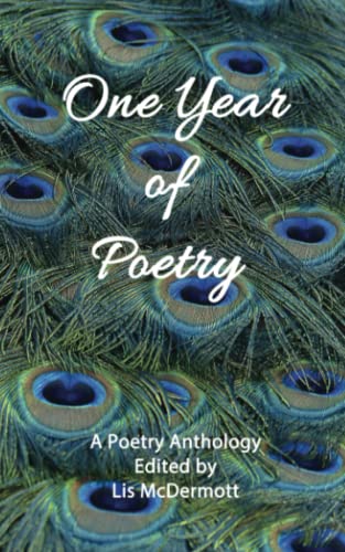 Stock image for One Year of Poetry for sale by Lucky's Textbooks