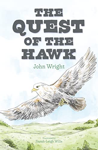 Beispielbild fr The Quest of the Hawk zum Verkauf von AwesomeBooks