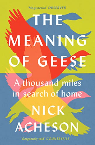Stock image for The Meaning of Geese: A Thousand Miles in Search of Home for sale by WorldofBooks