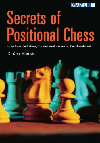 9781915328304: Secrets of Positional Chess