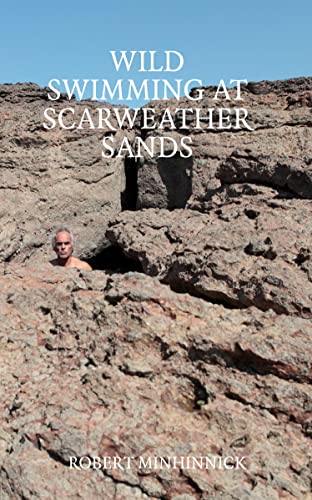 9781915406392: Wild Swimming at Scarweather Sands