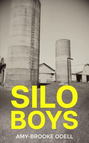 Stock image for Silo Boys for sale by PBShop.store US