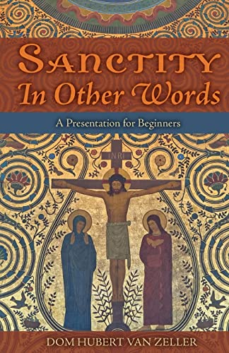 Stock image for Sanctity in Other Words: A Presentation for Beginners for sale by GreatBookPrices