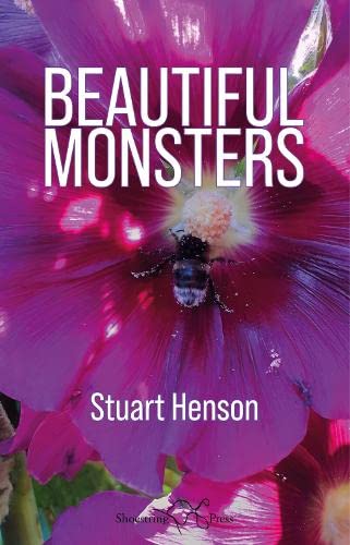 Stock image for Beautiful Monsters for sale by WorldofBooks