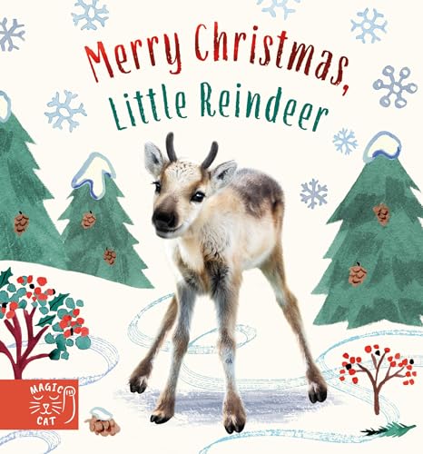 Imagen de archivo de Merry Christmas, Little Reindeer (Baby Animal Tales) a la venta por AwesomeBooks