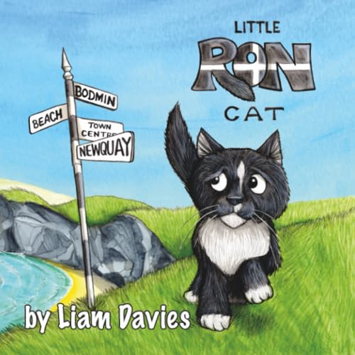 Stock image for Little Ron Cat for sale by GF Books, Inc.