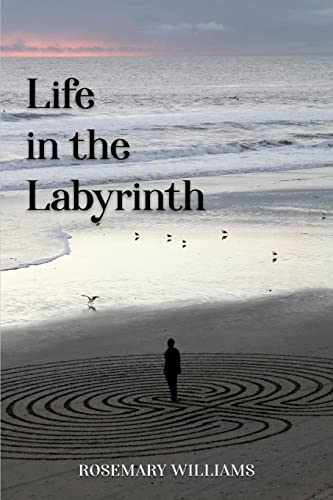 Imagen de archivo de Life in the Labyrinth a la venta por ThriftBooks-Dallas