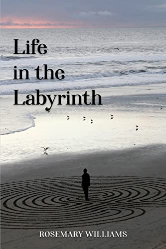 Stock image for Life in the Labyrinth for sale by ThriftBooks-Dallas