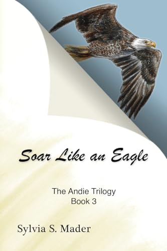 Imagen de archivo de Soar Like an Eagle a la venta por Red's Corner LLC