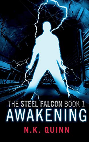Imagen de archivo de The Steel Falcon Book 1: Awakening a la venta por Wonder Book