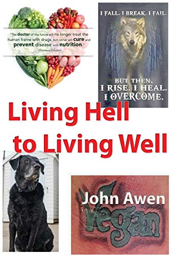Beispielbild fr Living Hell to living Well zum Verkauf von WorldofBooks