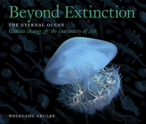 Imagen de archivo de Beyond Extinction: The Eternal Ocean?Climate Change & the Continuity of Life a la venta por GF Books, Inc.
