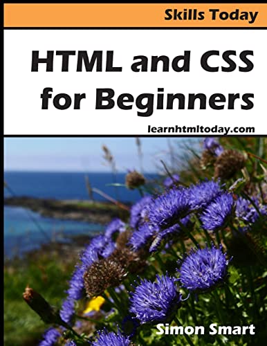Stock image for HTML and CSS for Beginners (Skills Today) for sale by Books Unplugged
