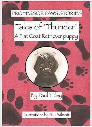 Stock image for Tales of Thunder for sale by WorldofBooks