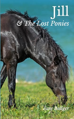 Stock image for Jill and the Lost Ponies: What Happened Next for sale by GreatBookPrices