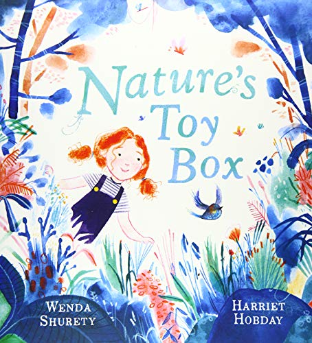 Stock image for Nature's Toy Box for sale by WorldofBooks