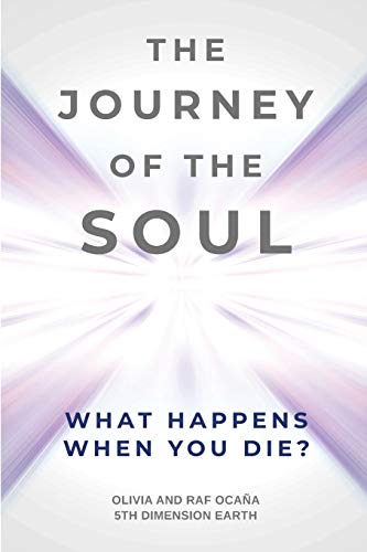 Beispielbild fr The Journey Of The Soul zum Verkauf von AwesomeBooks