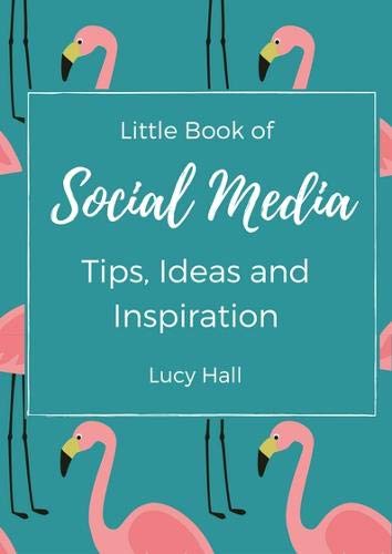 Stock image for Little Book of Social Media Ideas and Inspiration: Ideas, inspirations and nudges for your next social media post for sale by WorldofBooks