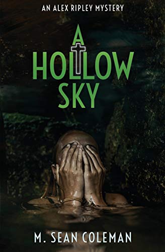 Beispielbild fr A Hollow Sky zum Verkauf von ThriftBooks-Atlanta