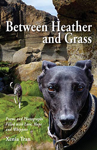Stock image for Between Heather and Grass: Poems and Photographs Filled with Love, Hope and Whippets for sale by GF Books, Inc.