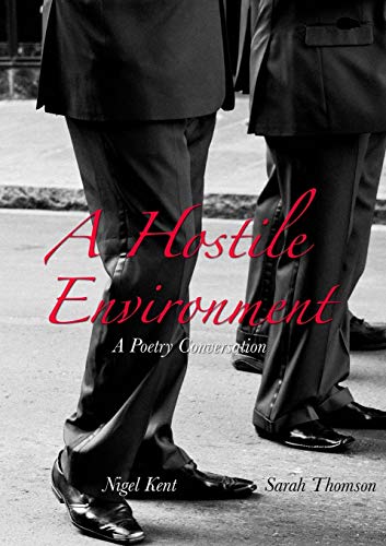 Beispielbild fr A Hostile Environment (001) (Conversations) zum Verkauf von AwesomeBooks