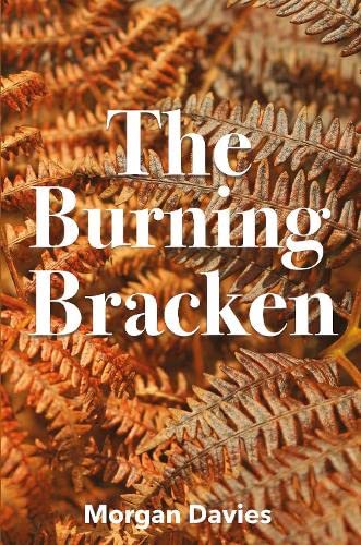 Stock image for The Burning Bracken for sale by WorldofBooks
