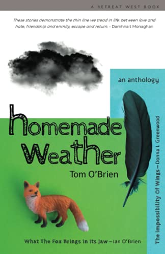 Beispielbild fr Homemade Weather: An anthology of novelettes-in-flash zum Verkauf von GF Books, Inc.