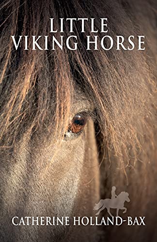 Stock image for Little Viking Horse for sale by WorldofBooks