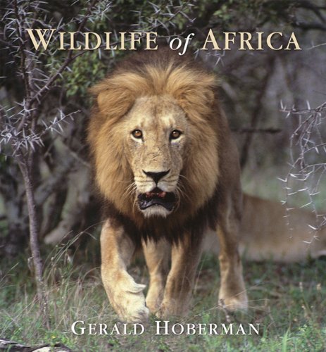 Imagen de archivo de Wildlife of Africa a la venta por Hamelyn