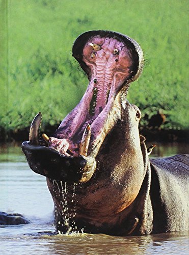 Beispielbild fr Hippopotamus Journal zum Verkauf von GreatBookPrices