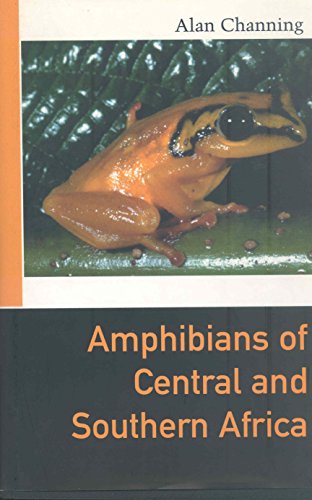 Stock image for Amphibians of Central and Southern Africa for sale by PSBooks