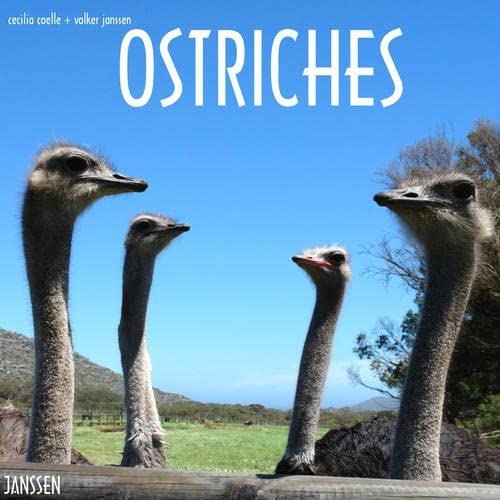 Stock image for Ostriches for sale by Powell's Bookstores Chicago, ABAA