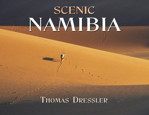 9781919938431: Scenic Namibia [Lingua Inglese]