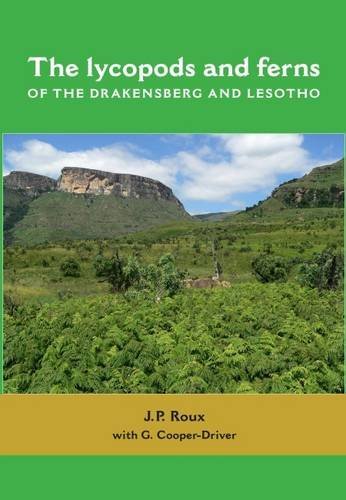 Beispielbild fr The Lycopods and Ferns of the Drakensberg and Lesotho zum Verkauf von Blackwell's