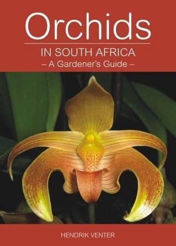 Beispielbild fr Orchids in South Africa (Paperback) zum Verkauf von CitiRetail