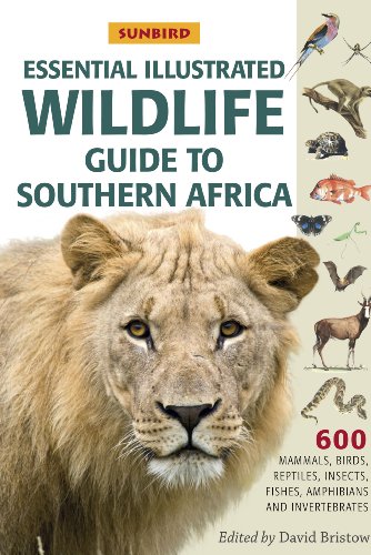 9781920289065: Essential Illustrated Wildlife Guide to Southern Africa