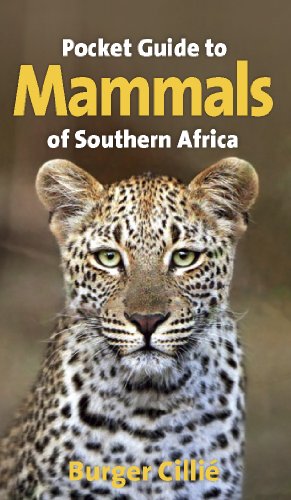 Beispielbild fr Pocket Guide to Mammals of Southern Africa zum Verkauf von WorldofBooks