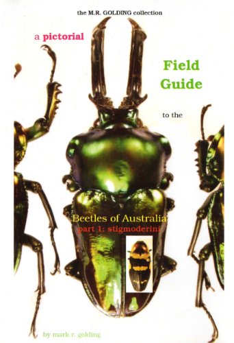 A Pictorial Field Guide to the Beetles of Australia (Volume 1) Stigmoderini (9781920783457) by Mark Golding