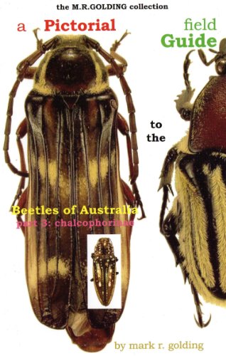 A Pictorial Field Guide to the Beetles of Australia (Part 3) Chalcophorinae (9781920783938) by Mark Golding