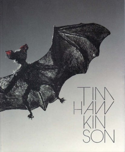 9781921034213: Tim Hawkinson: [Mapping the Marvellous]