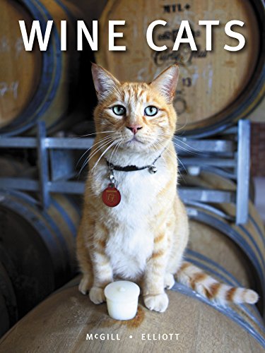 9781921336386: Wine Cats