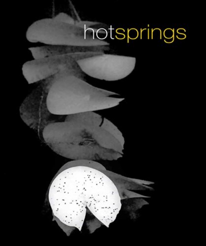 Beispielbild fr Hot Springs: The Northern Territory and Contemporary Australian Artists zum Verkauf von Books From California