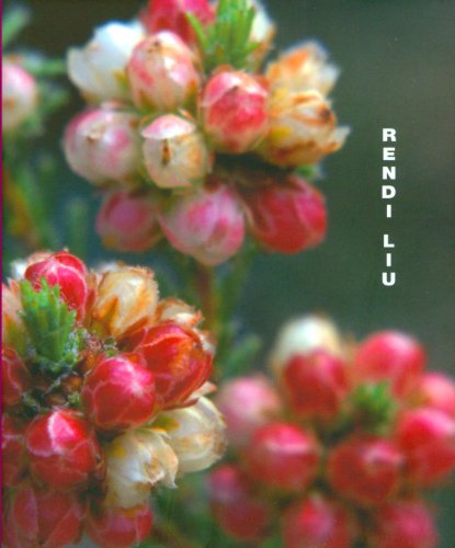 9781921394607: Rendi Liu: Mini Book #18 (Macmillan Mini-Art)