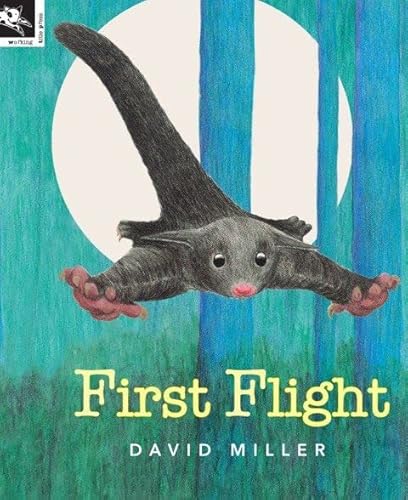 Stock image for First Flight for sale by Reuseabook