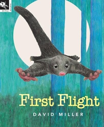 Stock image for First Flight for sale by Reuseabook